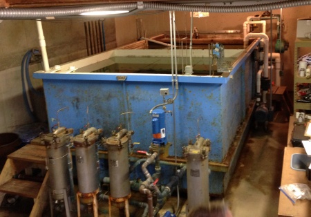 Old Settling Tank